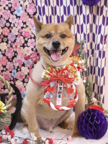 20250131やまとくん